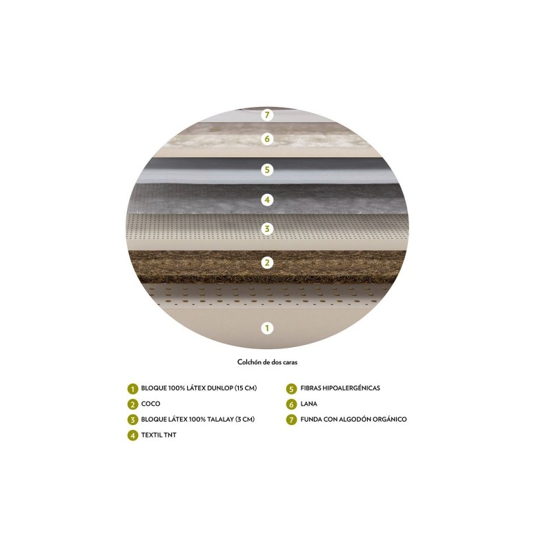 Colchón Dorwin Natur Talalay Articulado